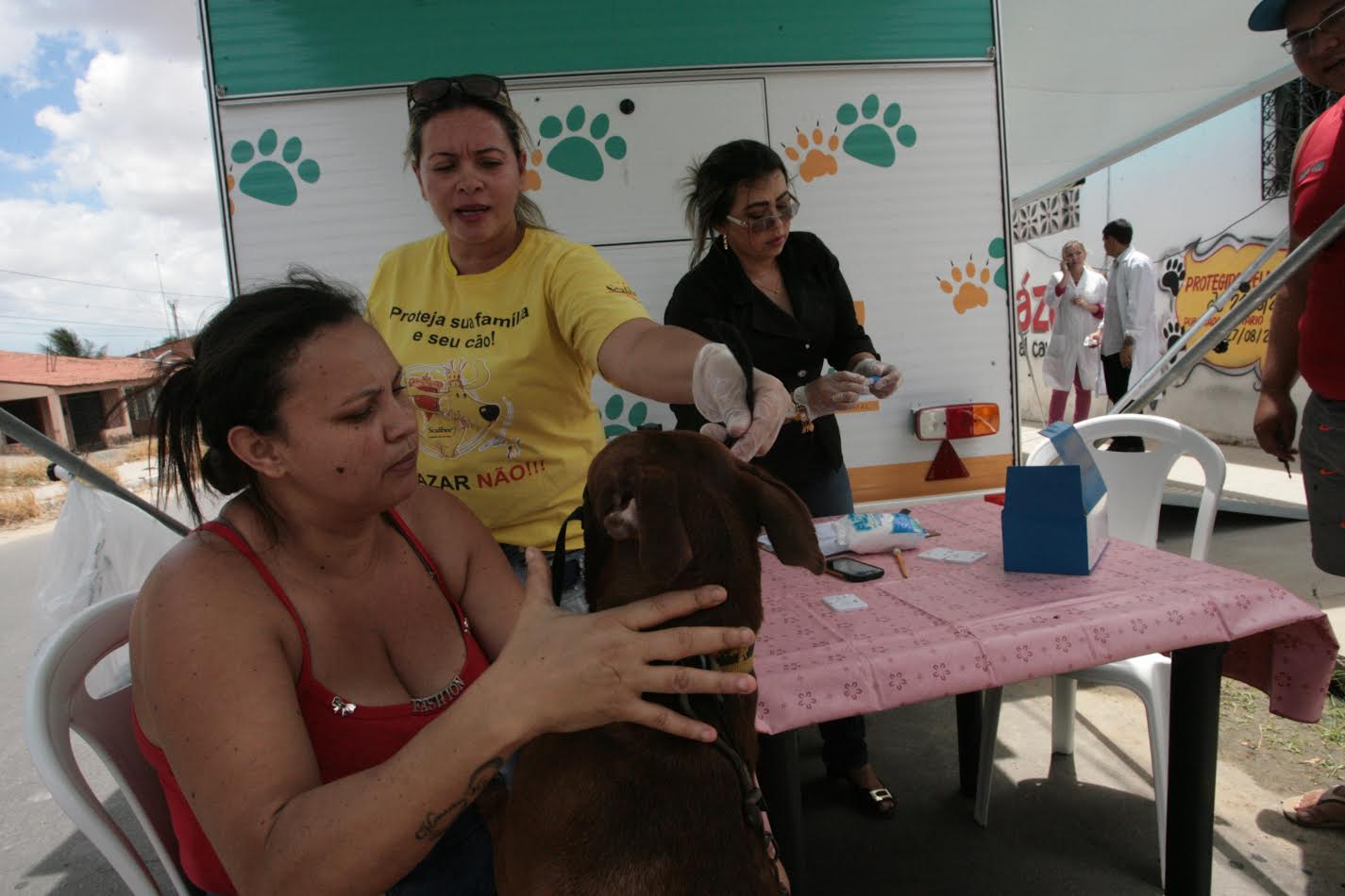 Vacinação de cachorro em evento