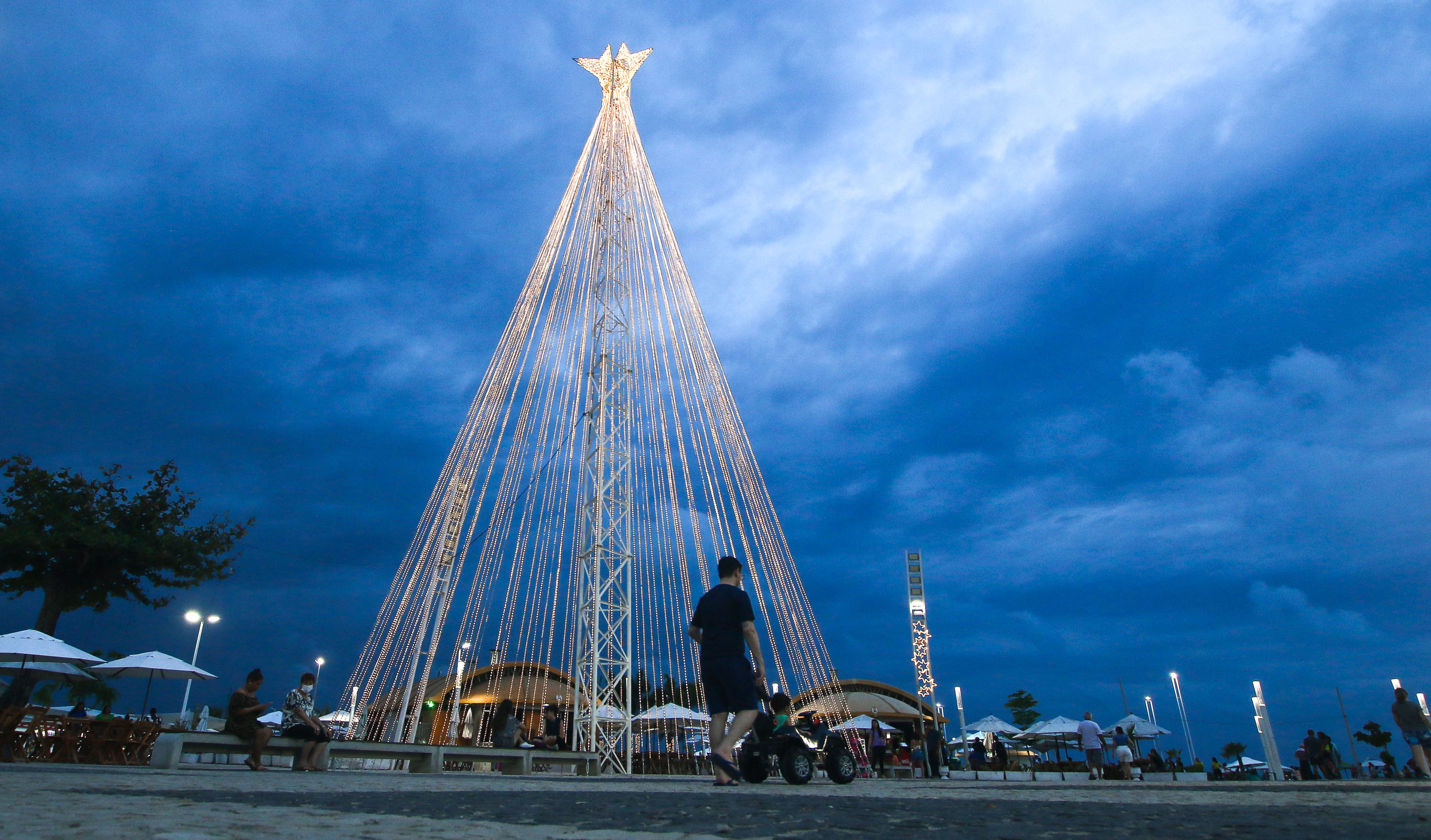 Prefeitura instala árvores de Natal de até 25m em locais movimentados na  cidade