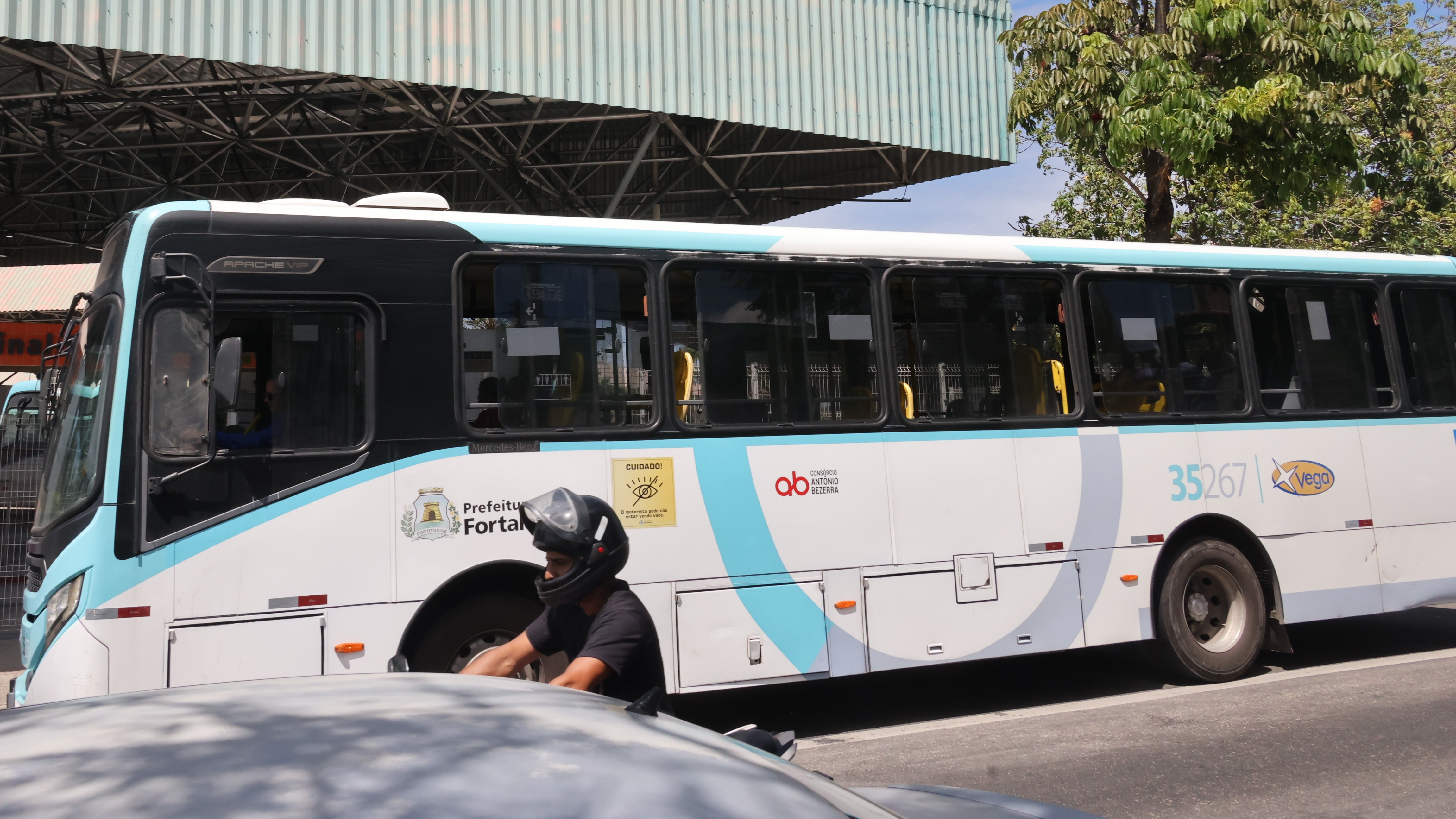 Imagem Destacada