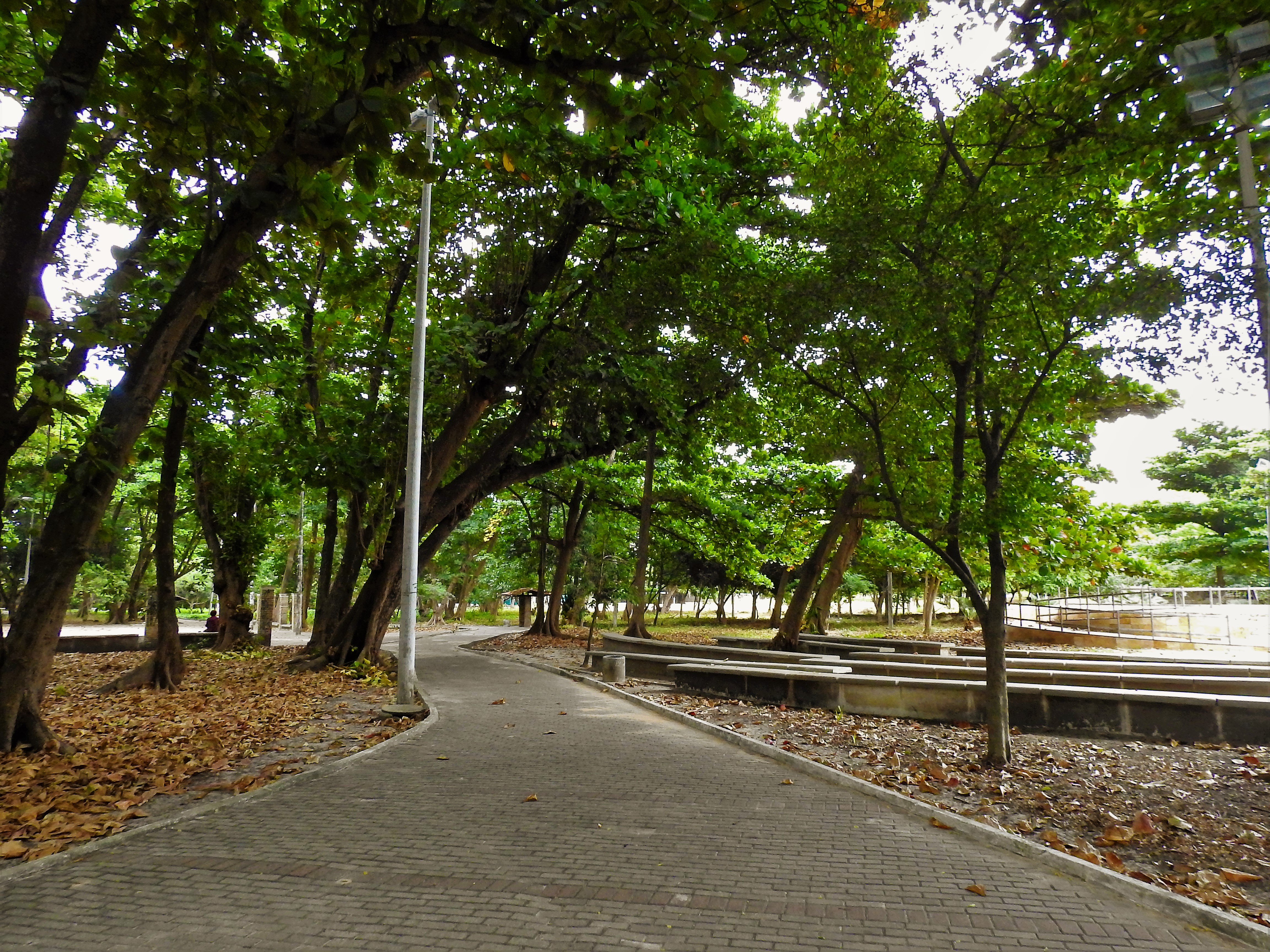 Imagem do parque Rio Branco 