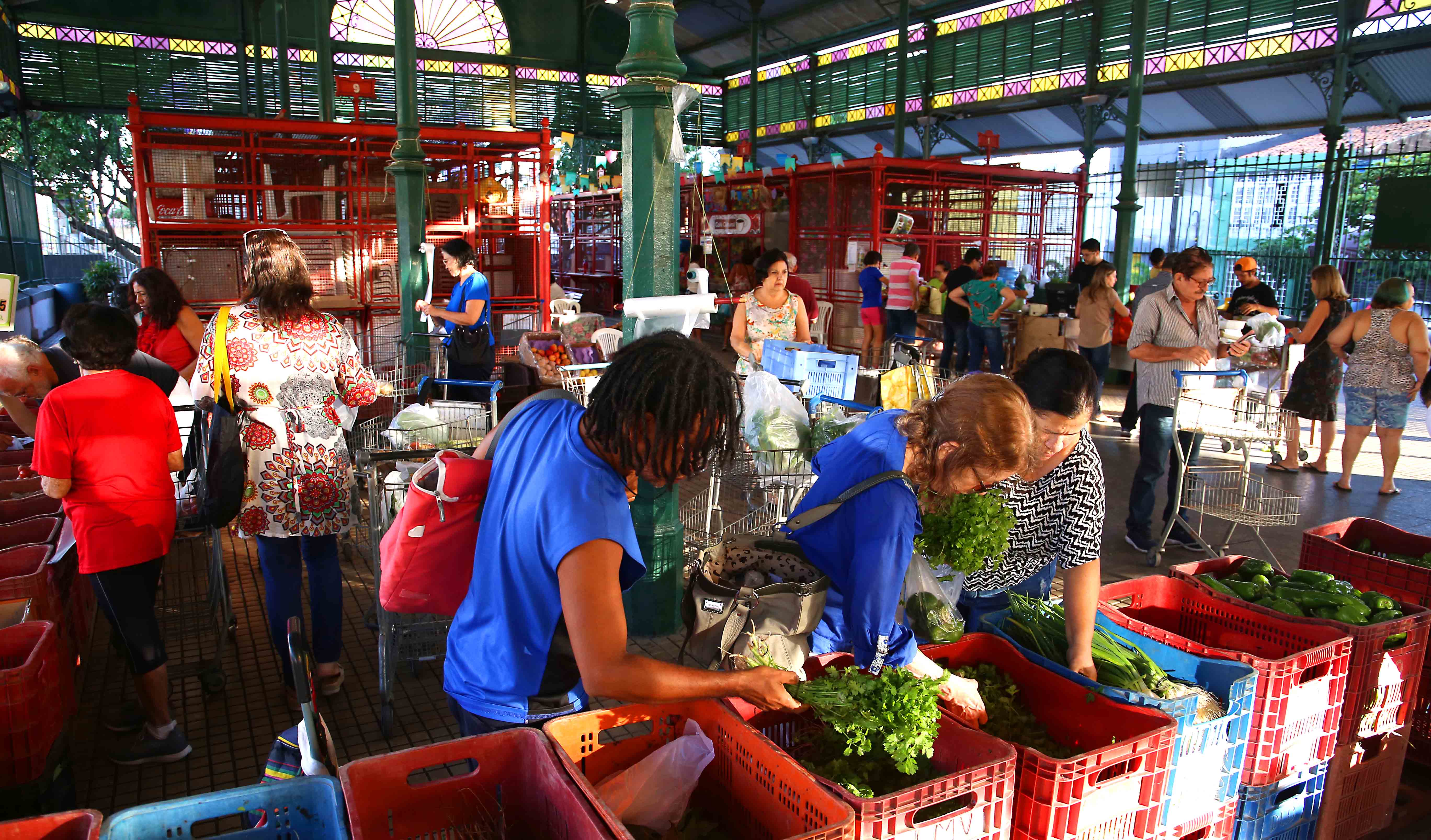 Pessoas escolhendo verduras em feira