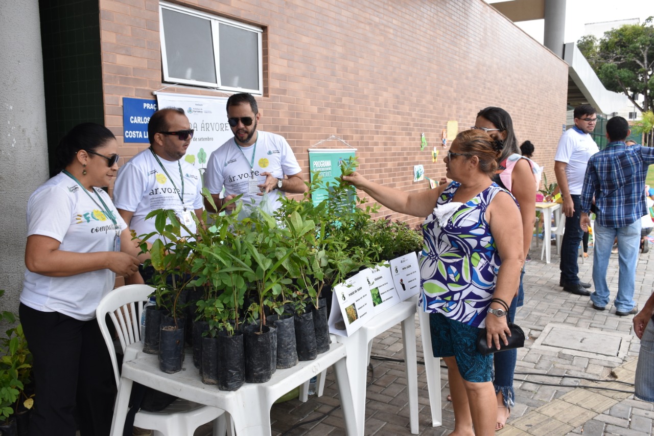 Mulher recebendo mudas de plantas entregues por servidores da prefeitura
