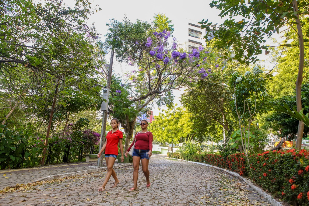duas mulheres caminhando em meio a árvores e ipês roxo florido