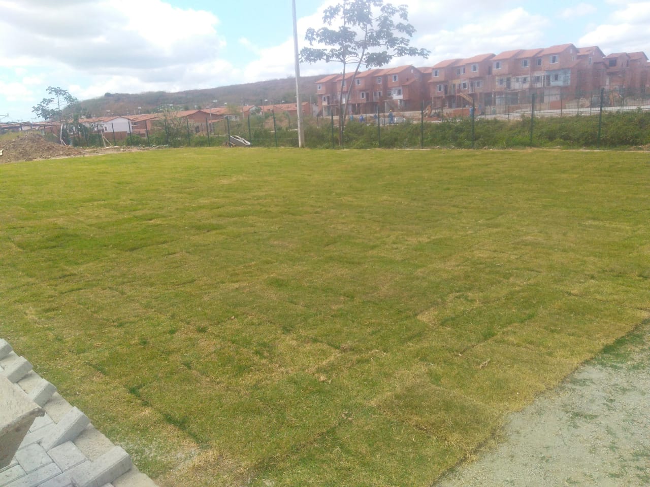 O campo de futebol está em fase do plantio do gramado 