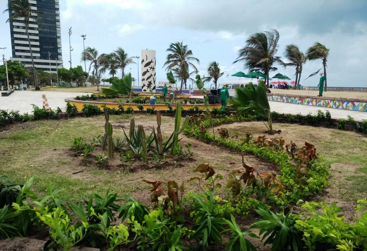 Canteiros centrais na Praia de Iracema adotados pelo Hotel Sonata