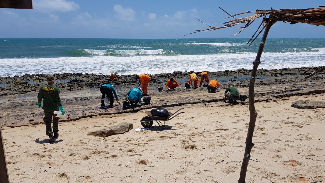 homens retirando lixo e resíduos em praia