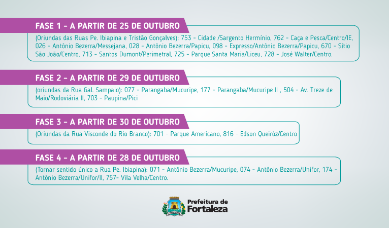 Infográfico com dados