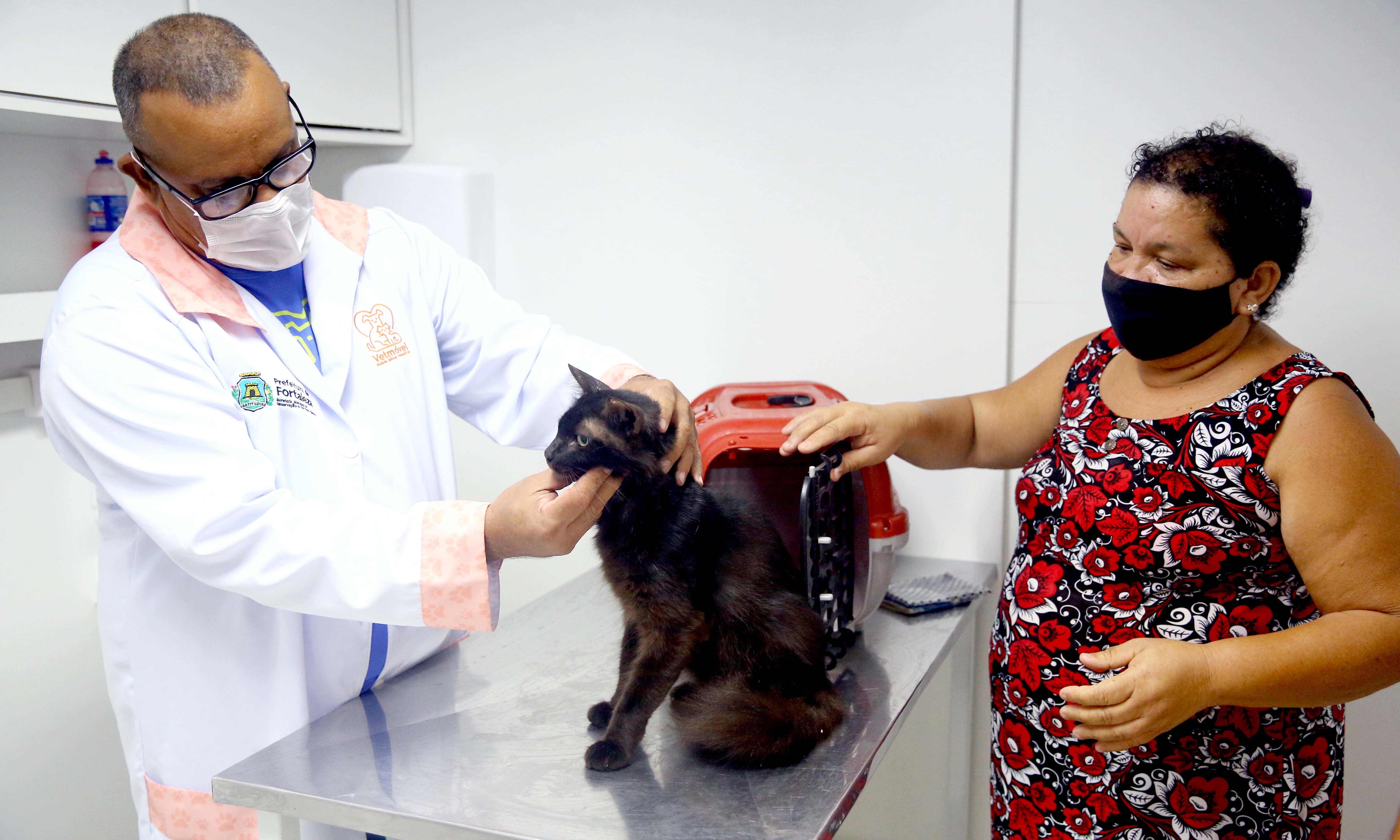 Veterinário atendendo gato no VetMóvel