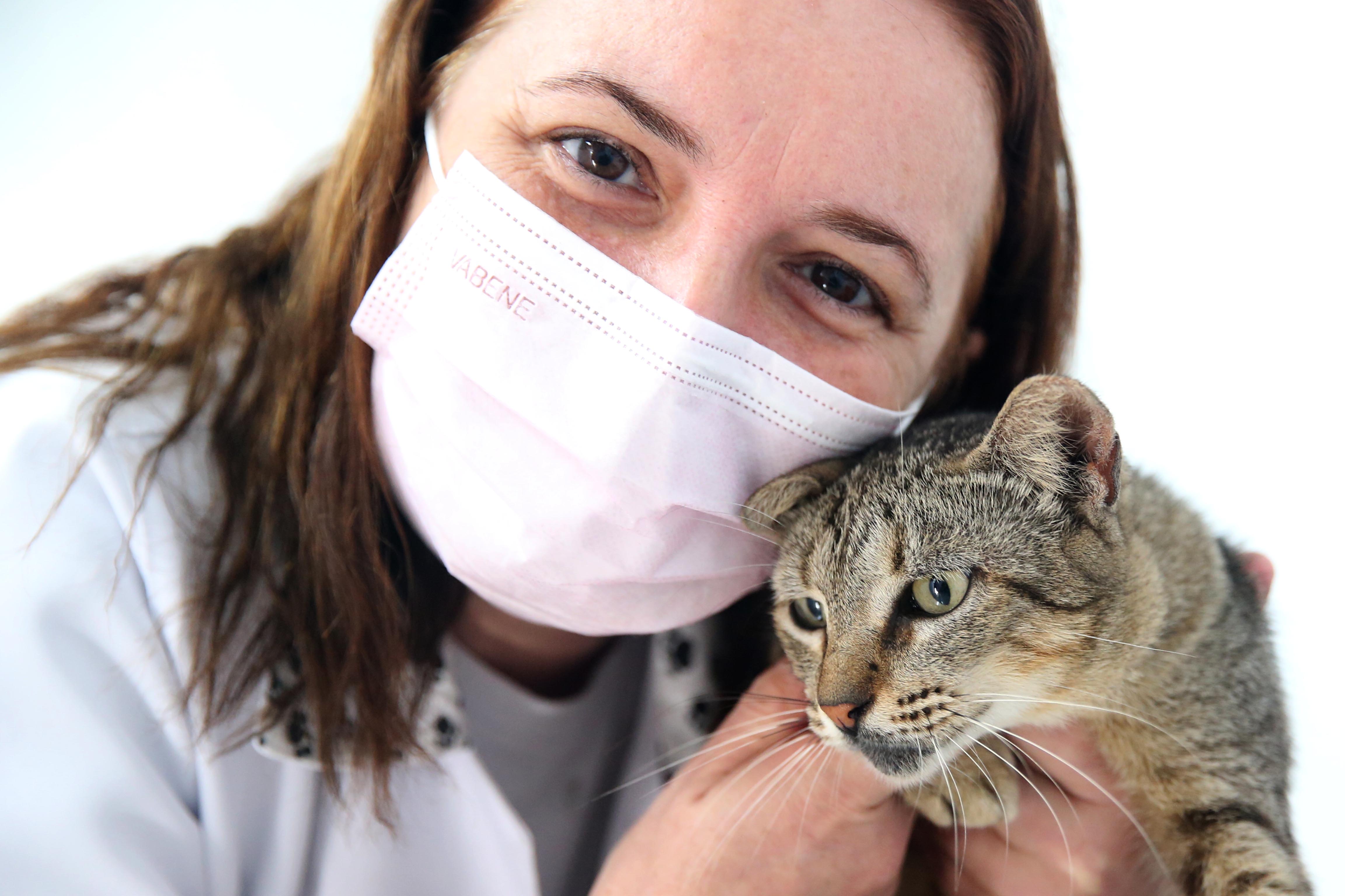 Veterinária segura gato perto do rosto