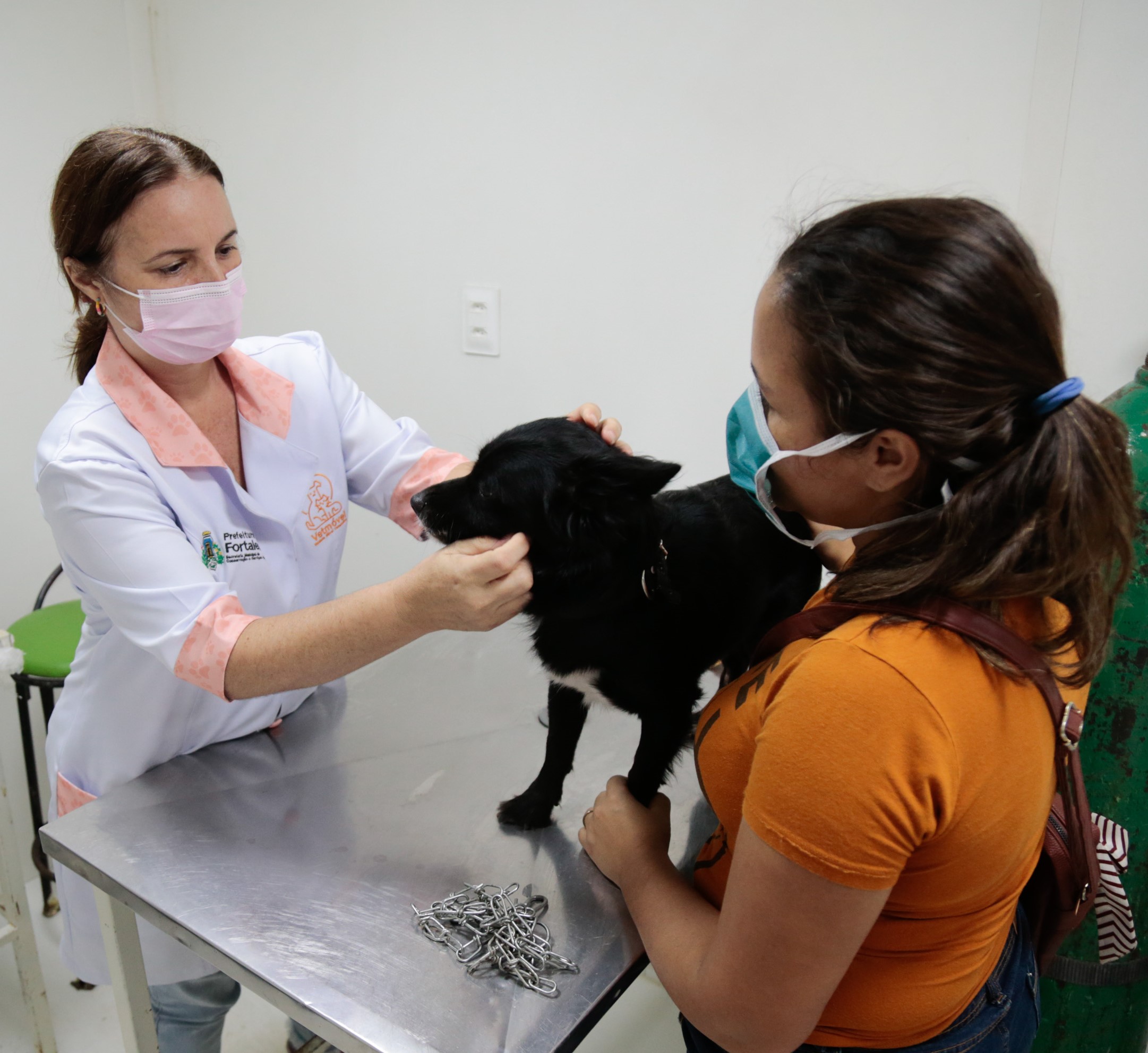 Veterinária consulta cachorro no VetMóvel
