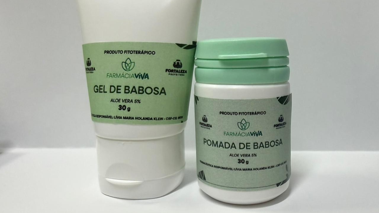 Imagem Destacada