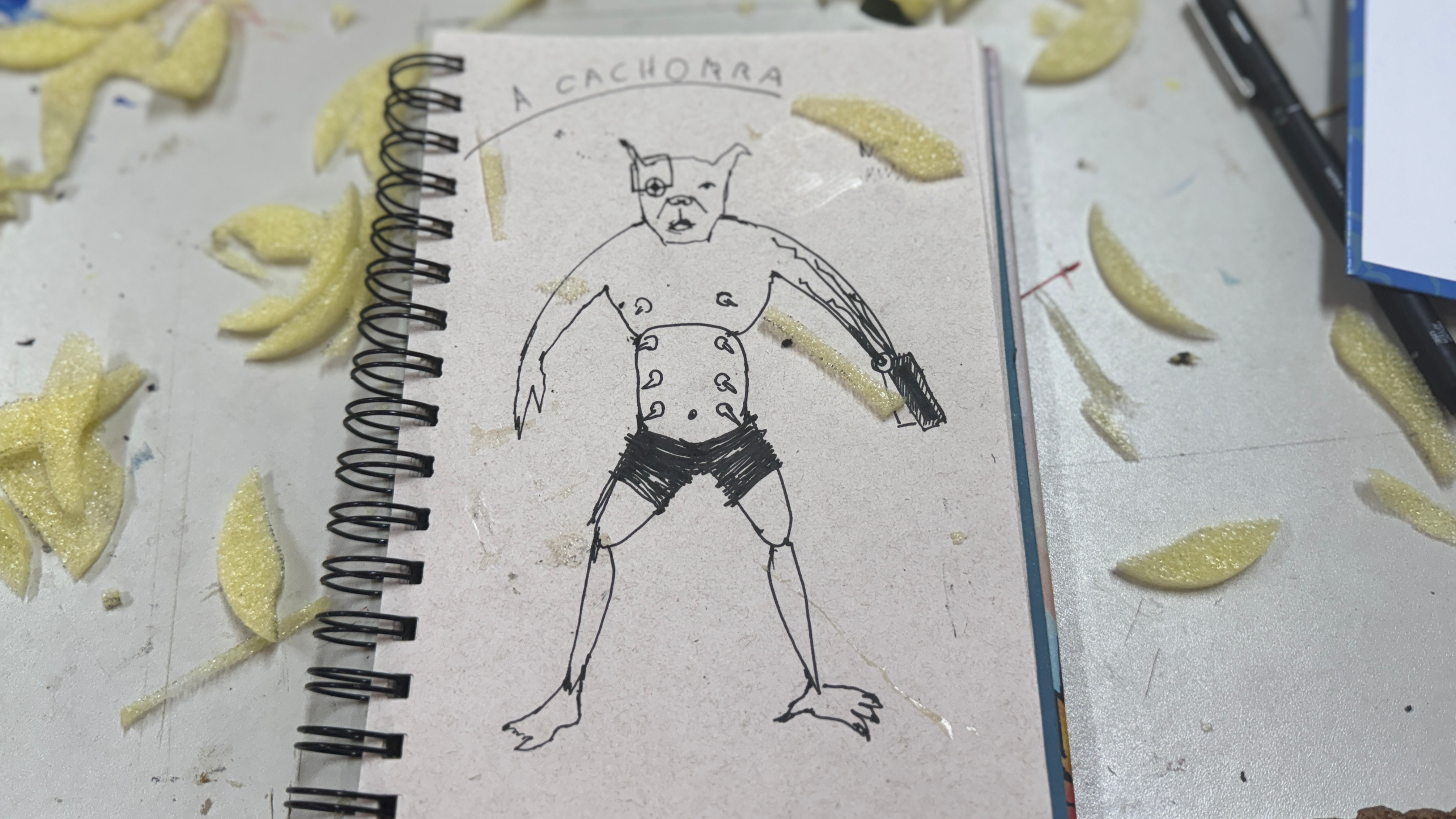 Imagem Destacada