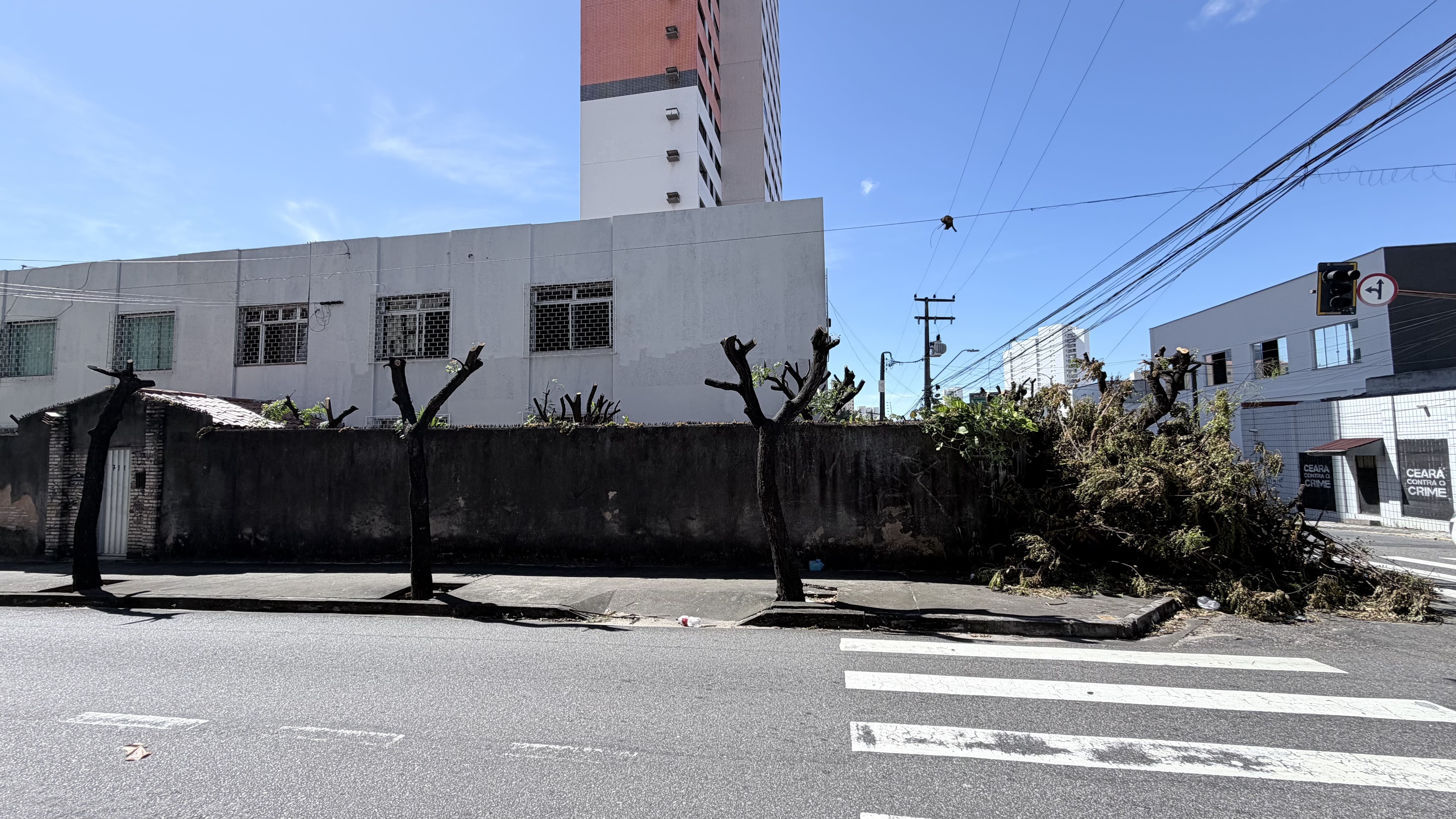 Imagem Destacada