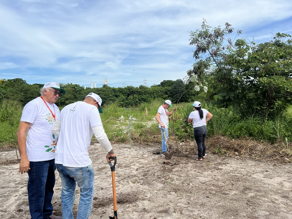 Plantio no Residencial Cidade Jardim