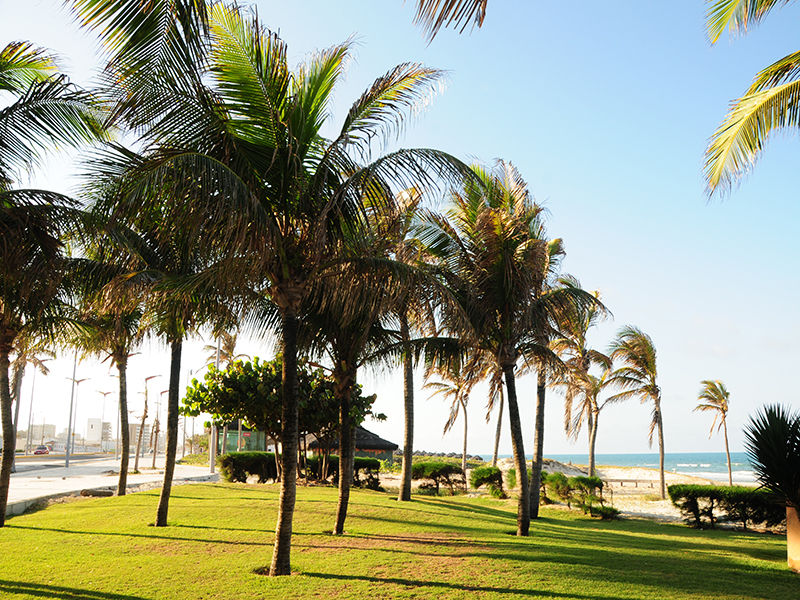 Na ocasião, secretário Elpídio Nogueira divulgará números do turismo e projetos para captação de mais turistas. (Foto: Nely Rosa)