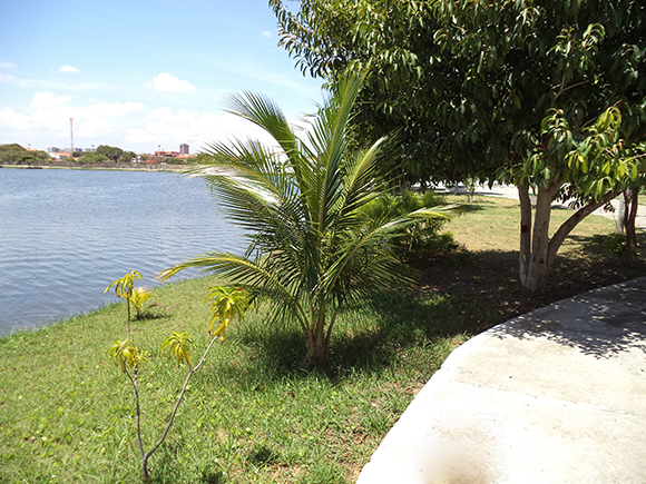 A lagoa é limpa diariamente por três garis, que ficam no local das 7h às 12h
