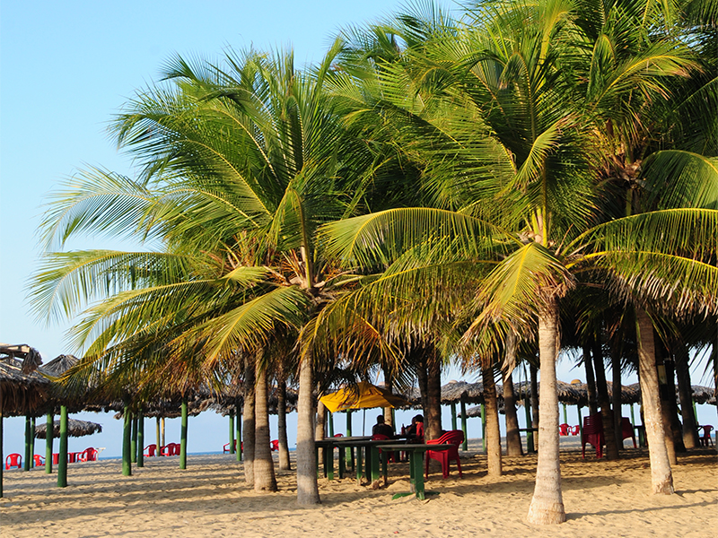 O foco da Secretaria serão os barraqueiros e vendedores do coco na Praia do Futuro e Beira Mar, além de hotéis e restaurantes
