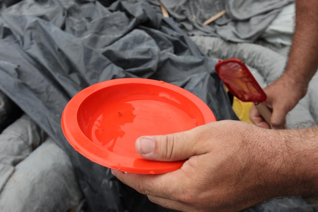 Equipamentos também receberão inspeção para verificar possíveis focos do mosquito