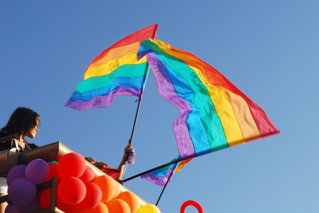 A tarde de palestra e debate contou com a presença de Yone Lindgren, integrante do Conselho Nacional LGBT