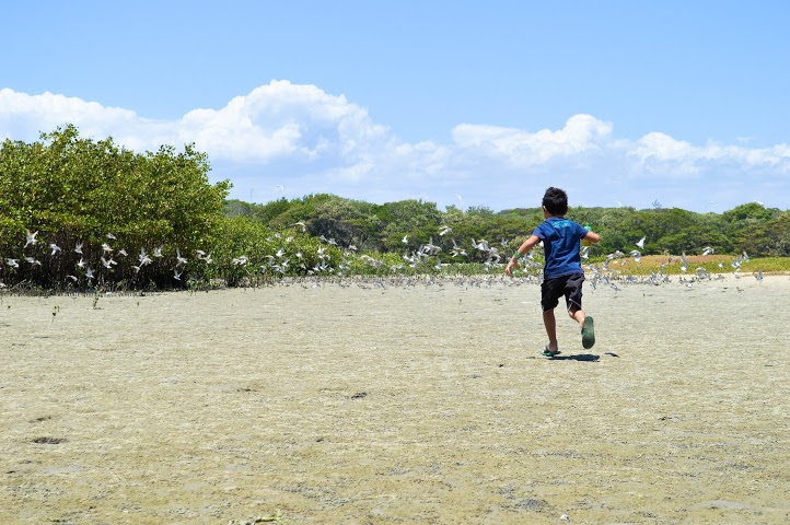 A mostra reúne trabalhos realizados pelos alunos dos cursos de Fotografia Básica, Fotojornalismo e Artes Visuais (Foto: Jefferson André)