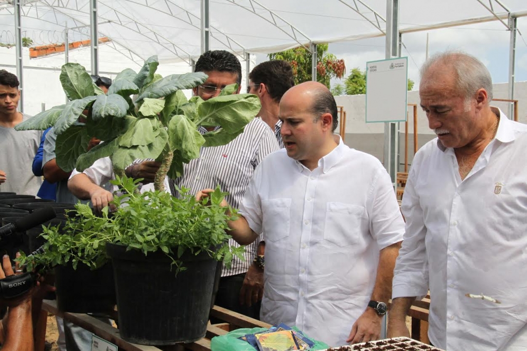 Ao todo, são três estufas. Cada uma produz em torno de sete toneladas de alimento por ciclo (Foto: Kiko Silva)