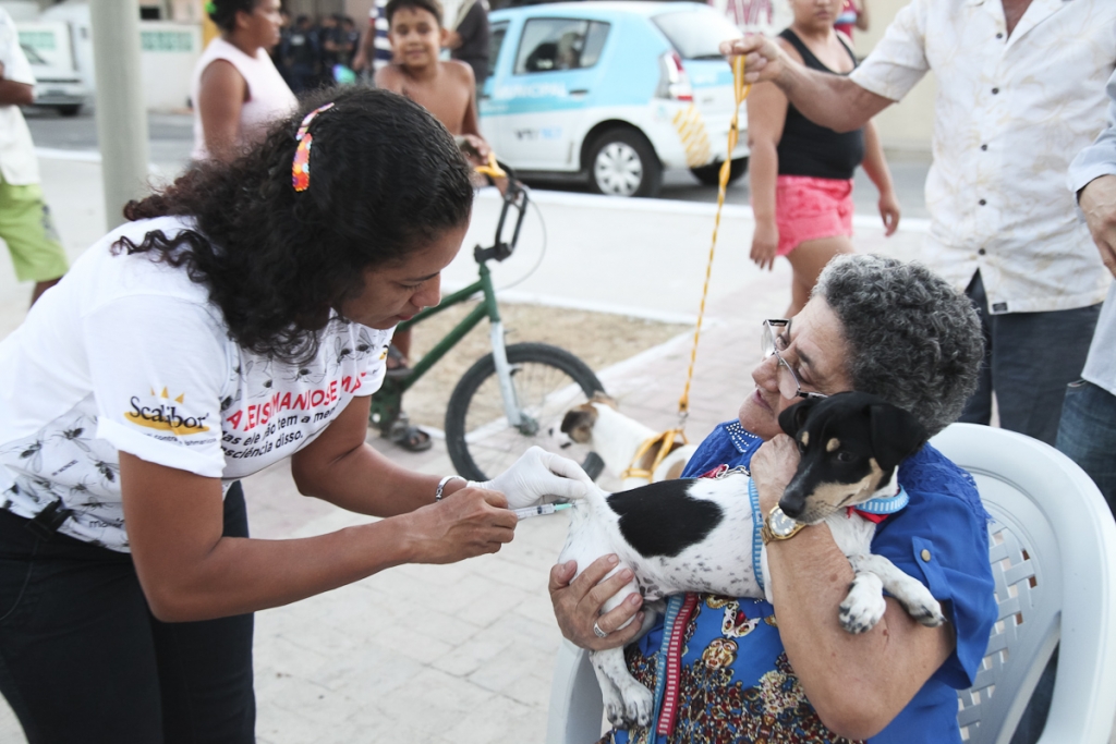 A meta deste ano é vacinar 260 mil animais em 783 postos de vacinação (Foto: Thiago Gaspar)