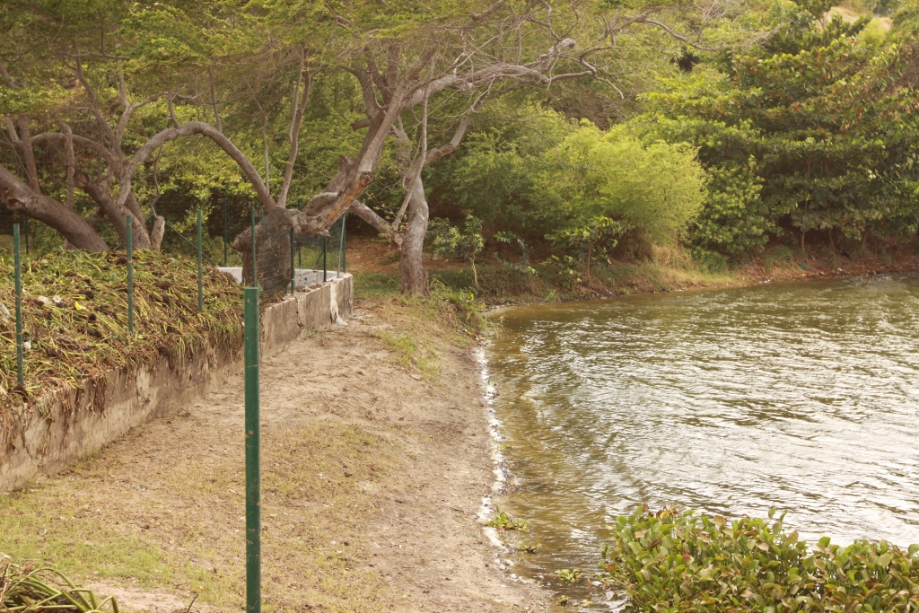 Com a conclusão da parte térrea, 35 caçambas de materiais sólidos retirados da lagoa (Foto: Queiroz Netto)