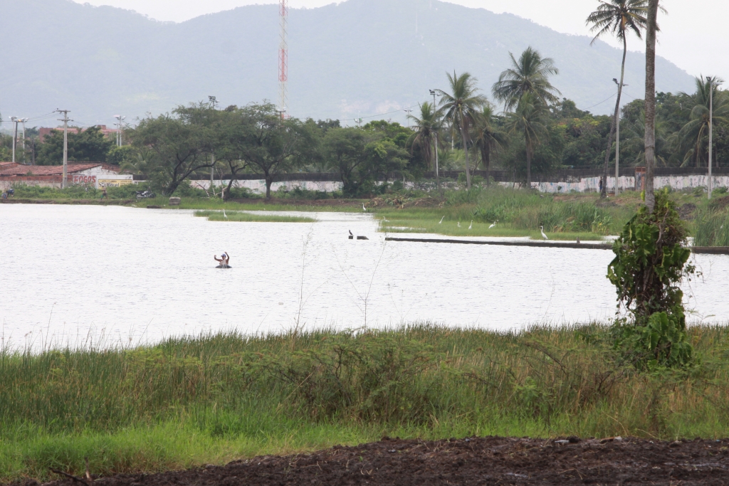 Está previsto o peixamento da lagoa com a deposição de 20 mil alevinos (Queiroz Netto)