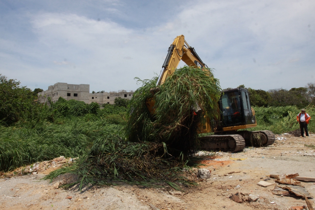 Foram mais de 60 carradas de resíduos e vegetação retirados das margens dos mananciais (Foto: Queiroz Neto)