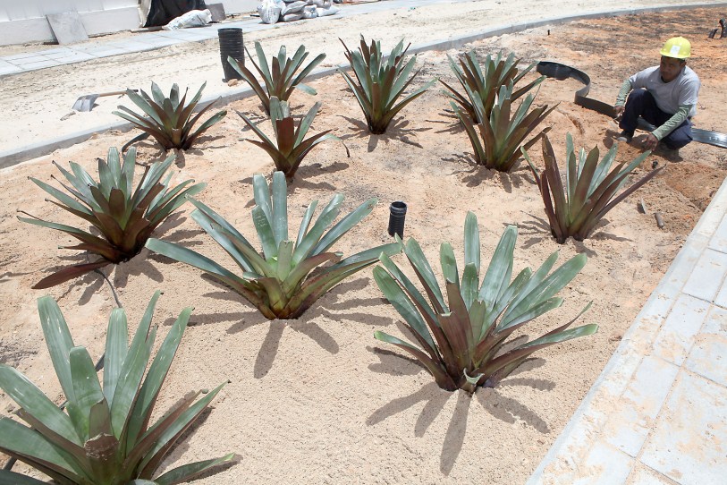 Mais de 70 operários trabalham no local atualmente na fabricação e montagem do piso