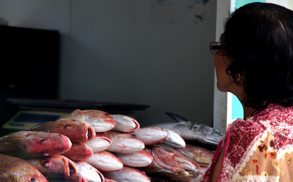 As ações acontecem desde o dia 23 de março no período diurno em supermercados e peixarias (Foto: Thiago Gaspar)