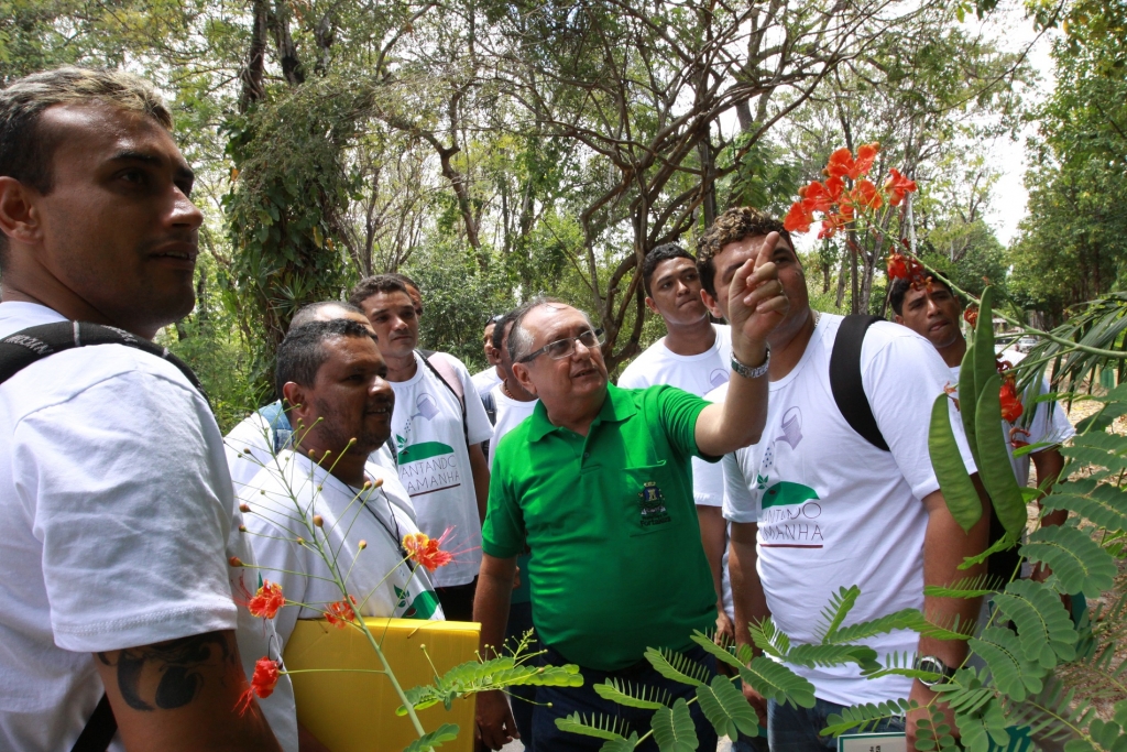 Os 30 internos serão acompanhados por três agrônomos e pela equipe que trabalha no Horto (Foto: Queiroz Netto)