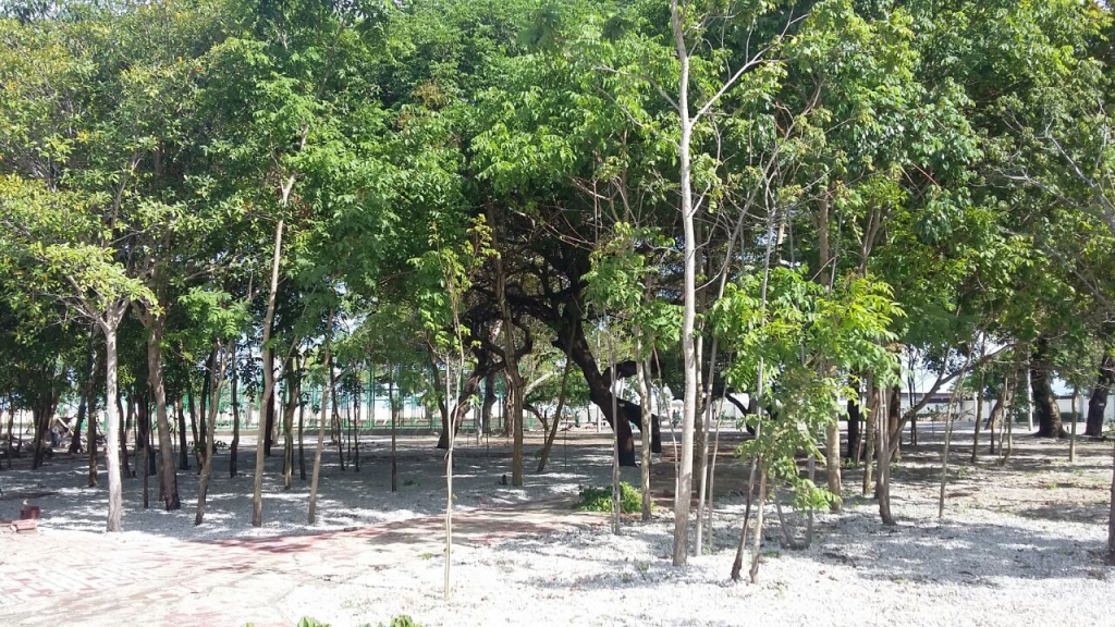 A praça conta com ampla área verde, pista de cooper, ciclofaixa, iluminação, quadra poliesportiva, paisagismo, parque infantil e academia ao ar livre