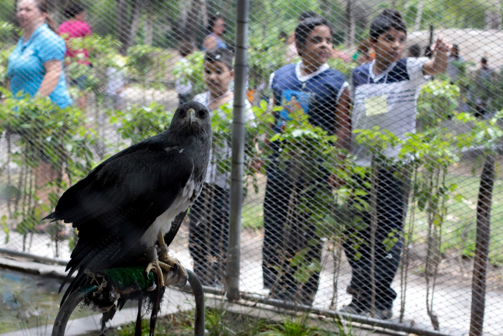 Desde a última terça-feira (8), crianças de Fortaleza e da Região Metropolitana participam de atividades no espaço (Foto: Igor de Melo/arquivo)